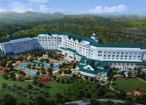 dollywood dream more resort pet policy